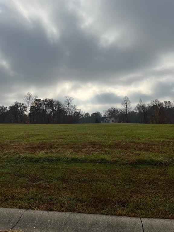 8165 Cindy Cir  