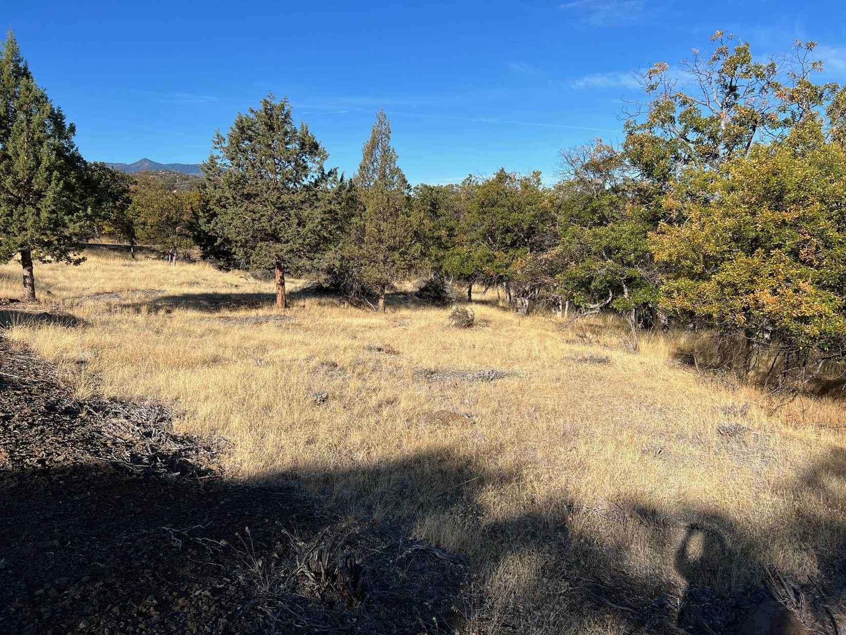 Lot 416 Danny Dr  