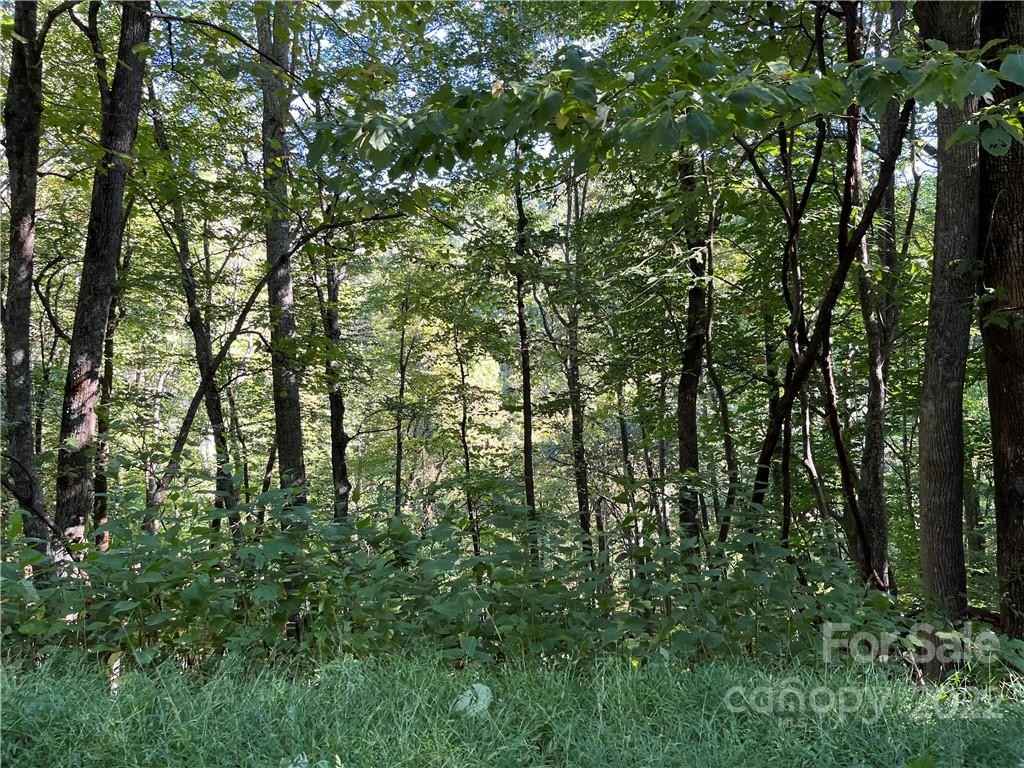 0 Elk Crk Rd  