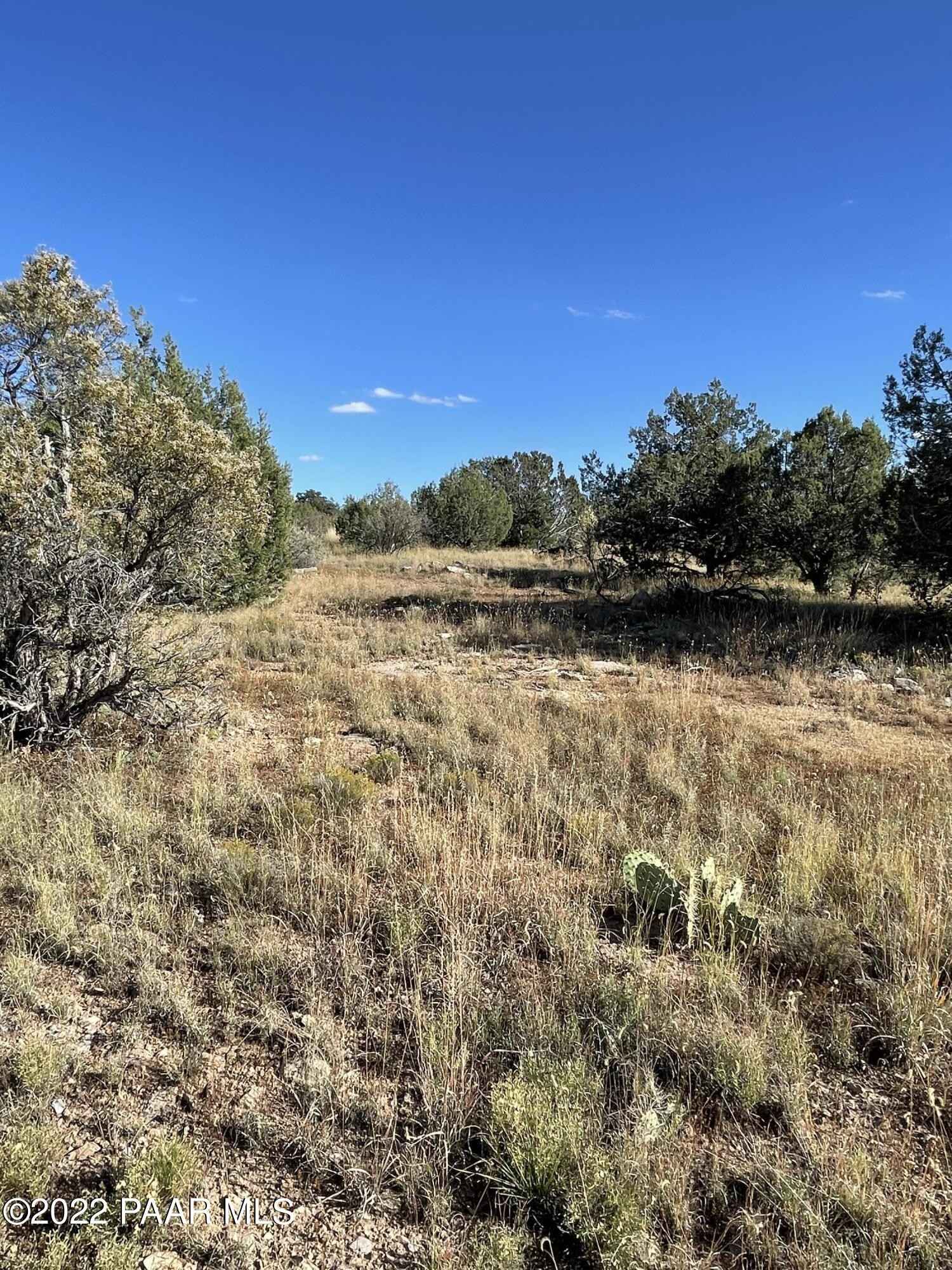 54593 Thunderbird Ln  