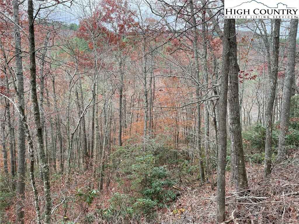 Tbd Lots 15 16 Lost Trl  
