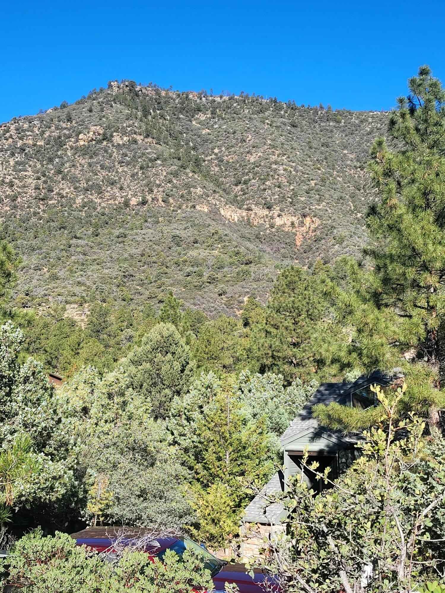 lot 163 Portal Dr  