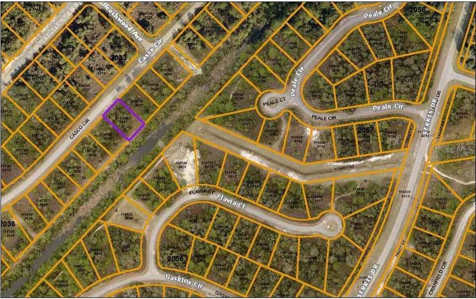 Lot 31 CASCO Cir  