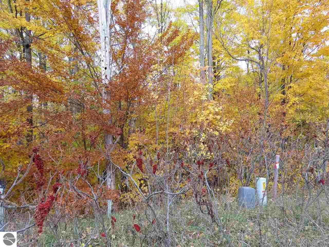 Lot 81 Eden St  