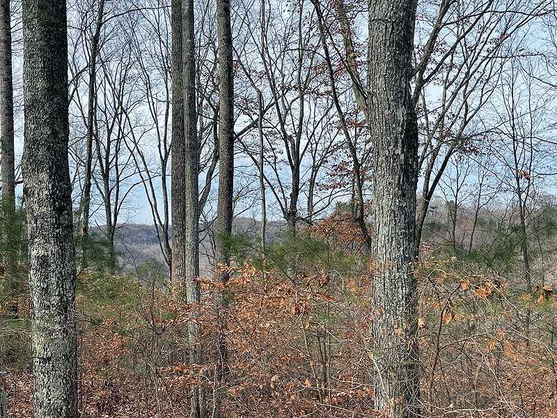 Lot 84 Stillwater  