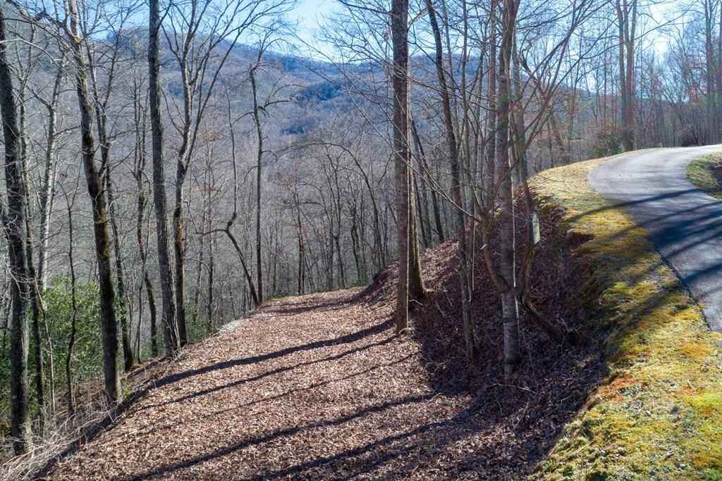 Lot 140 Birdymay Dr  