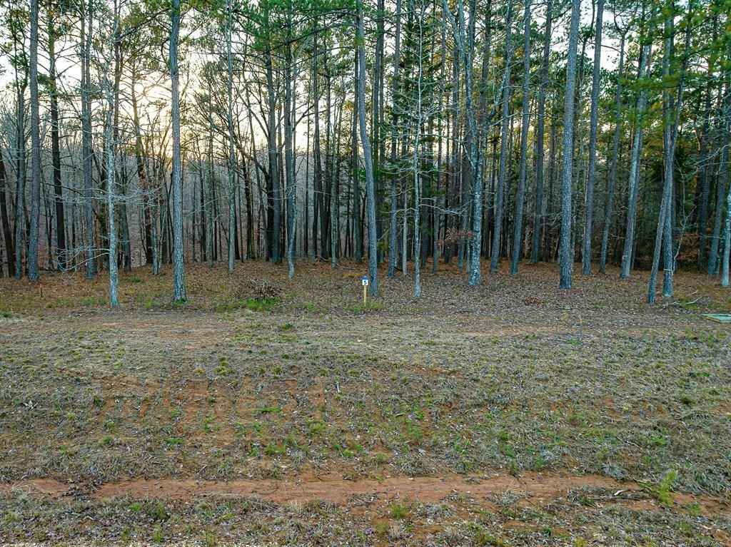 Lot 5 Stately Oaks Dr  