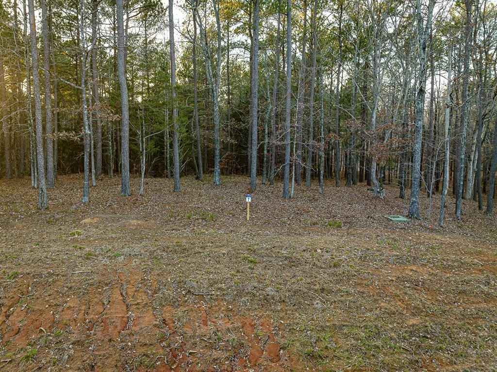 Lot 7 Stately Oaks Dr  