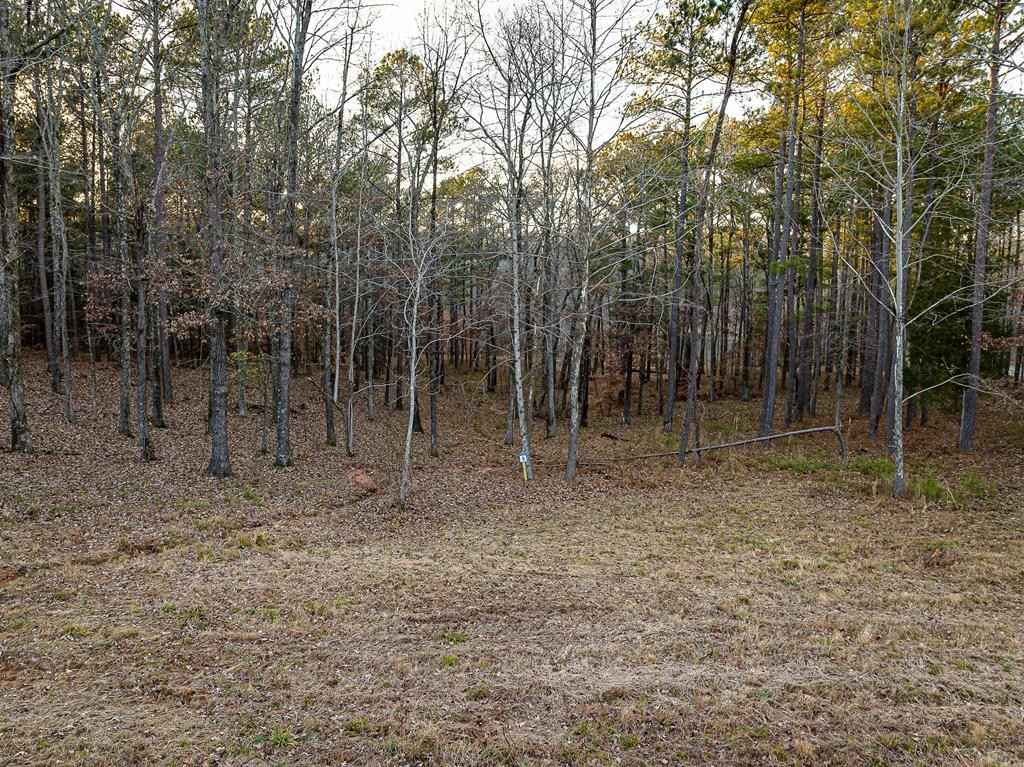 Lot 9 Stately Oaks Dr  