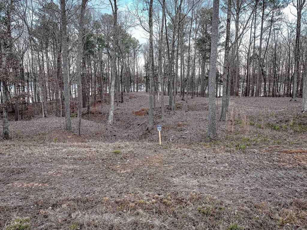 Lot 19 Stately Oaks Dr  