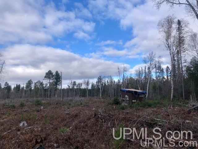 TBD 80 Acres Off Flt Rock  