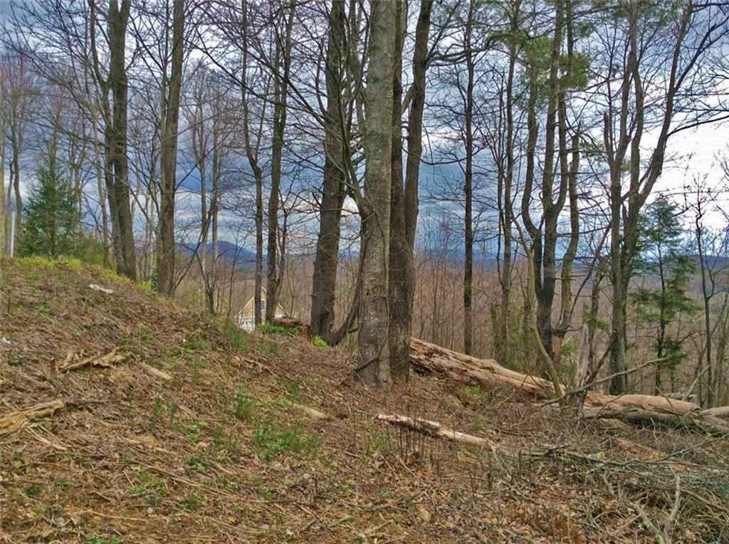 Lot 27 Pinecrest Ct  