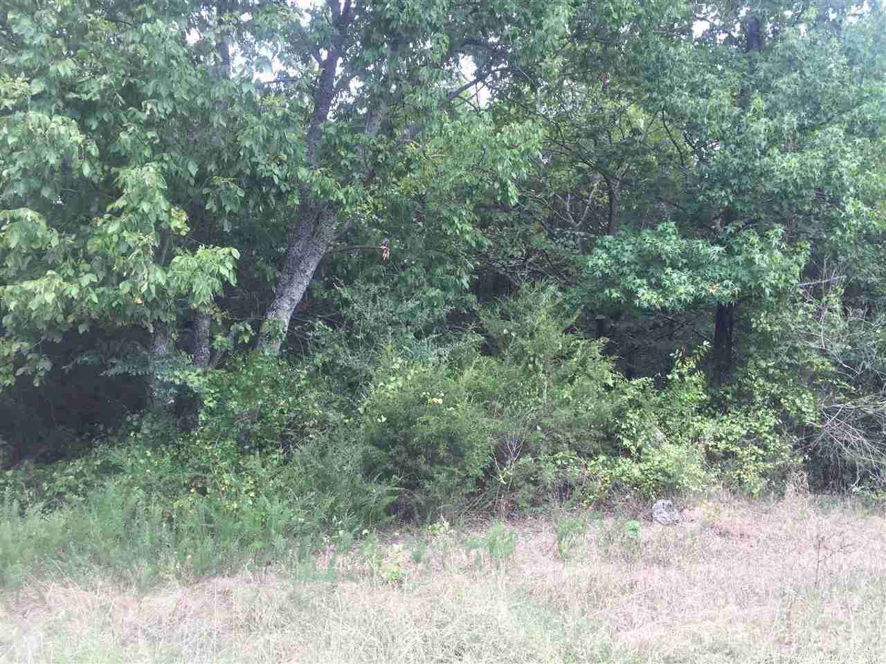 134 Jerry Ln Lot 3  