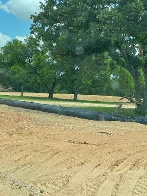 2013 Beauty Berry Ct  