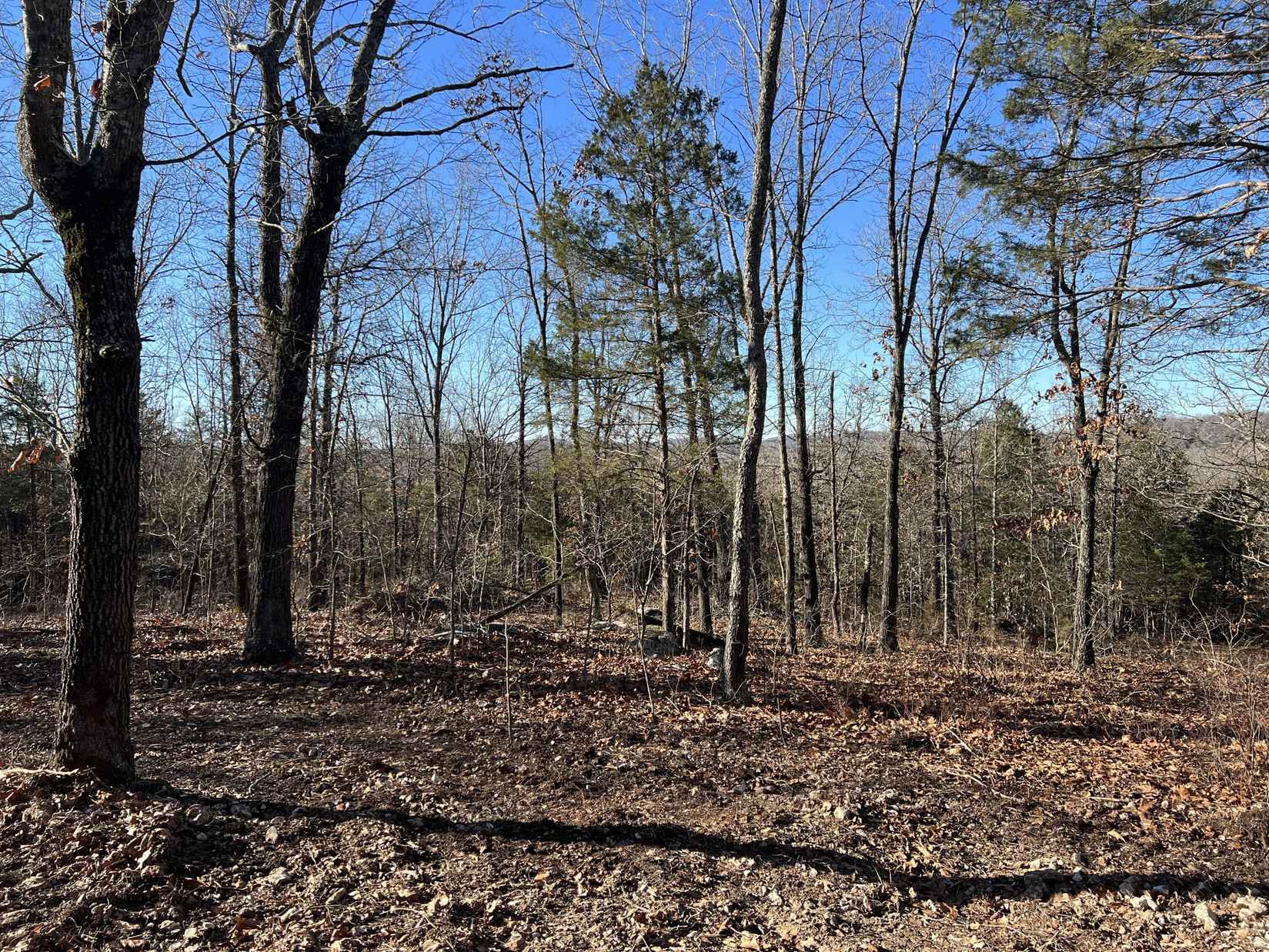 27 46 Acres off of Grassy Gap Rd  