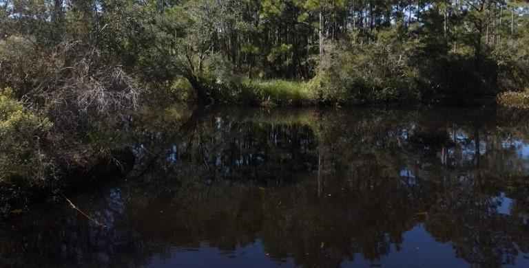 000 Bayou Dr  