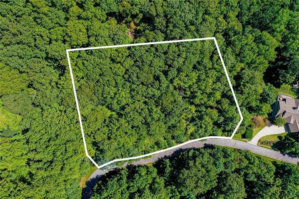 81 Moccasin Flower Trl  