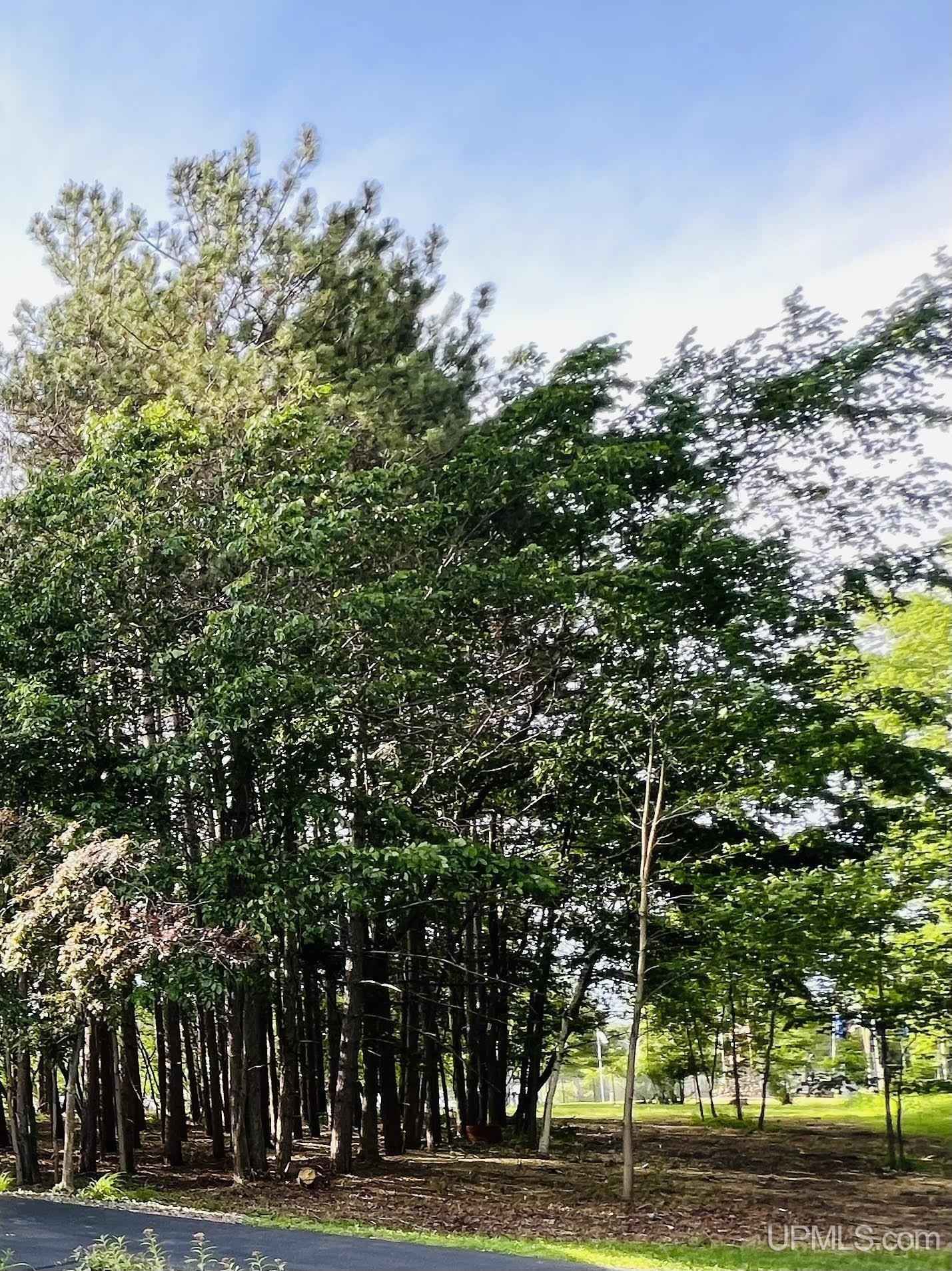 Lot 13 N Splake Ct  