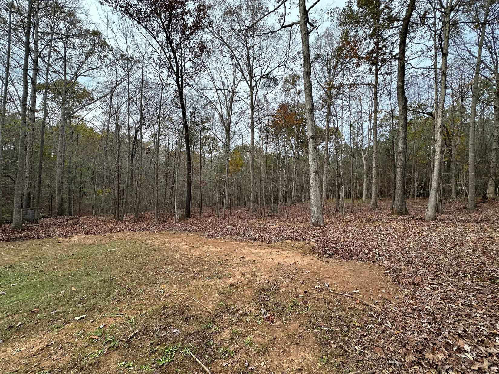 178 Ben Burton Cir  