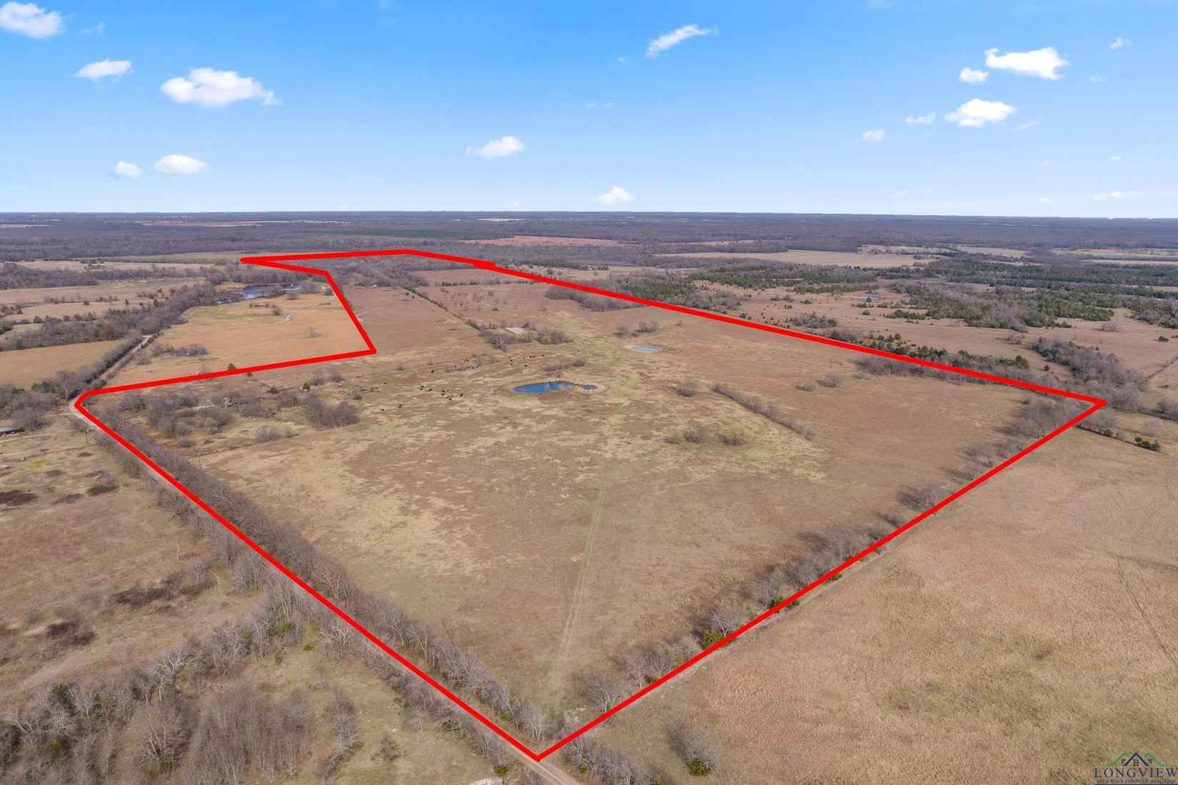 590 County Rd 15160  