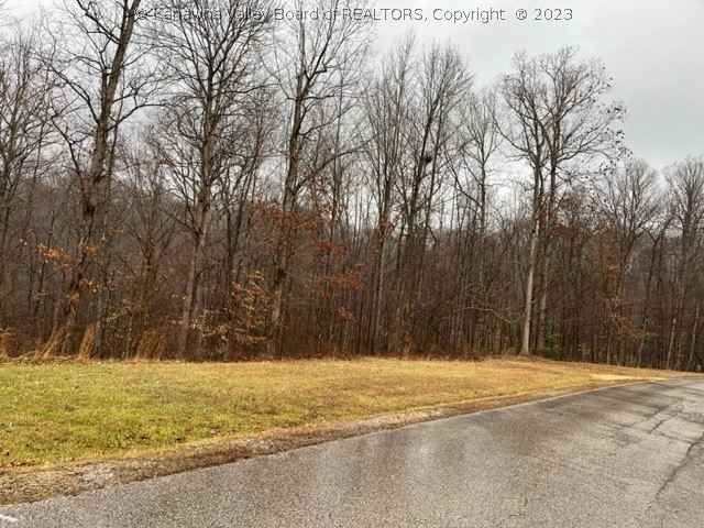0 Lot 112 Graff Ln  