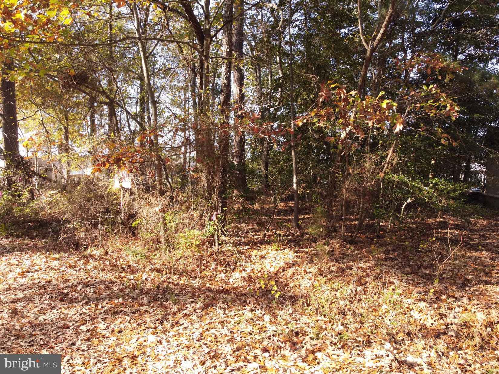 Lot Unit 19 Shr Ln  