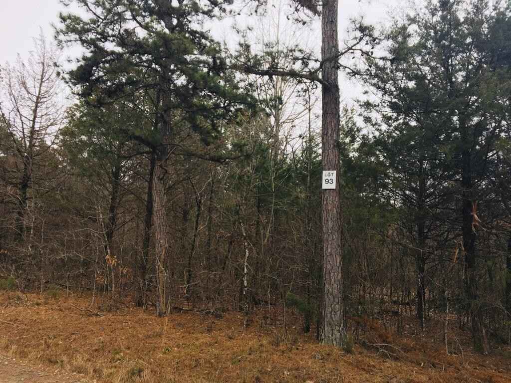 93 Eagles Nest CR 1788  