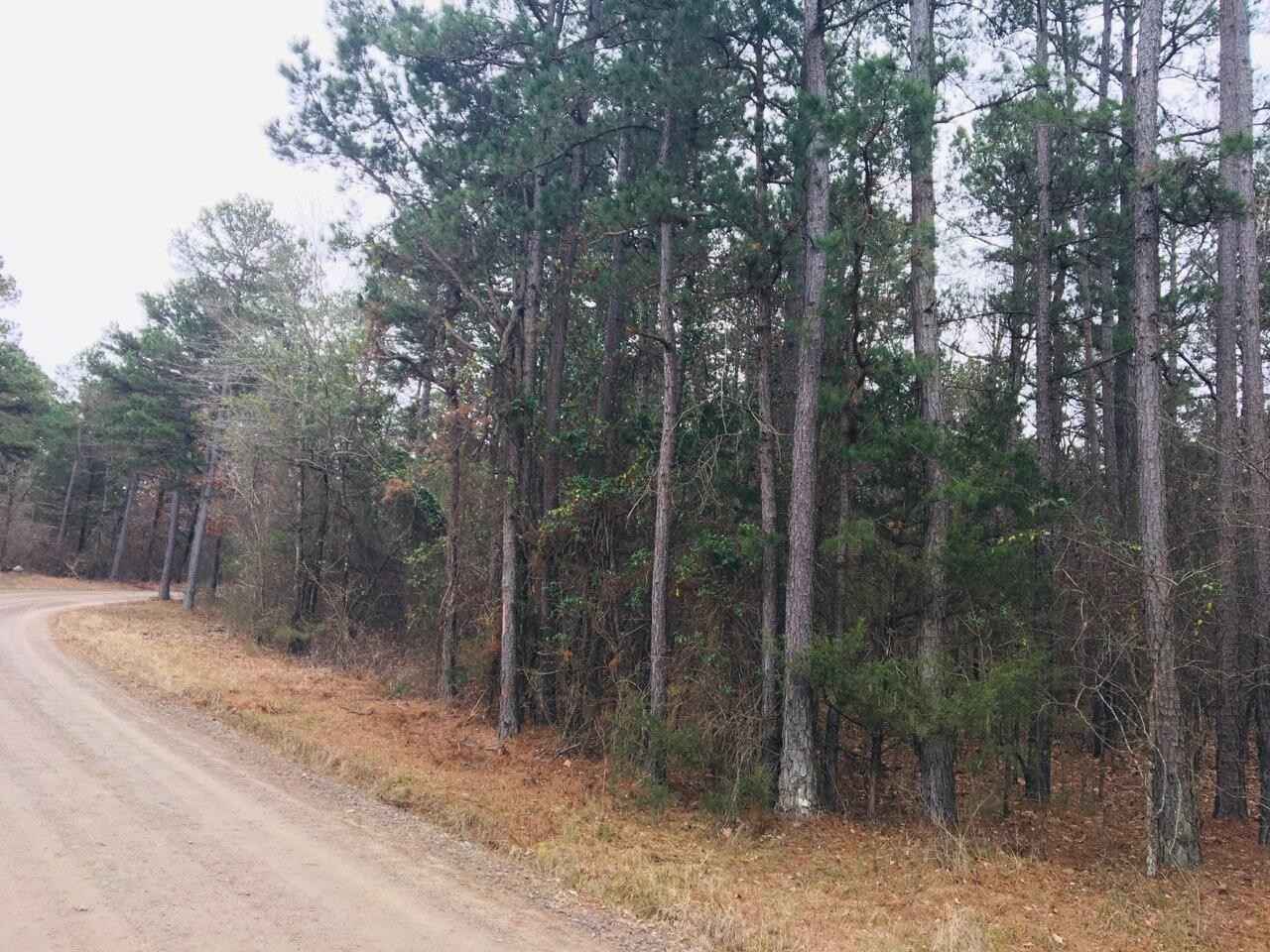 94 Eagles Nest CR 1788  