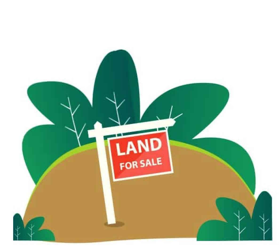 Lot 16B Woodland Pt  