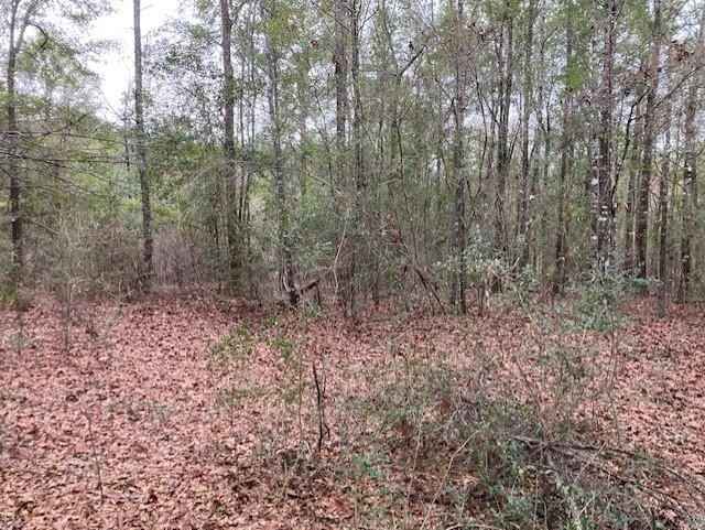Lot 41 Mdw Ln  