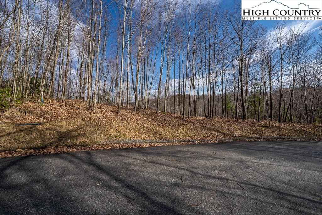 Lot 90 Tbd Beaver Dm Rd  
