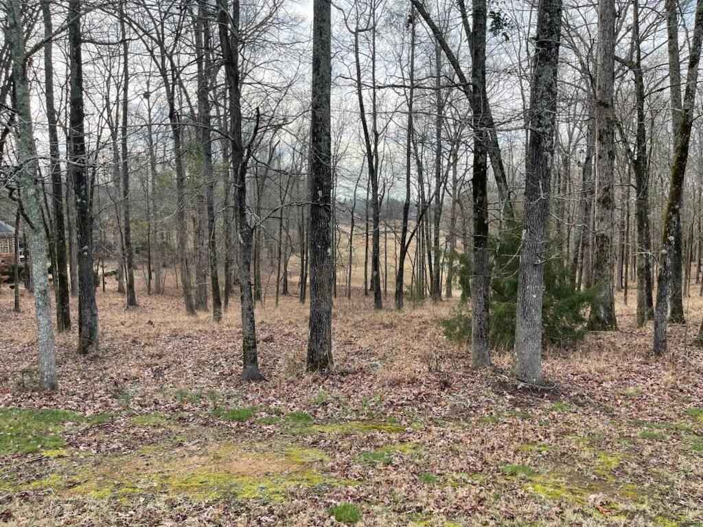 Lot A-33 MOUNT VINTAGE PLANTATION Dr  