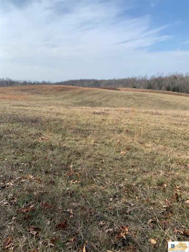 382 Hammer Spur Rd  