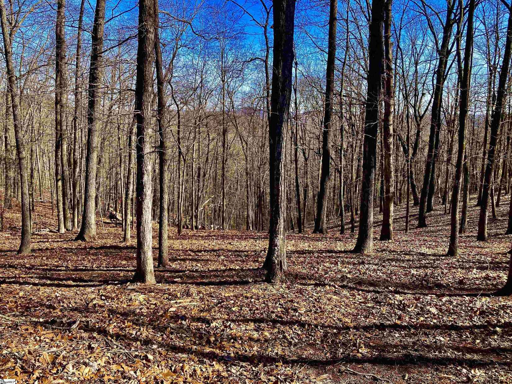 141 Cherokee Rose Trl  