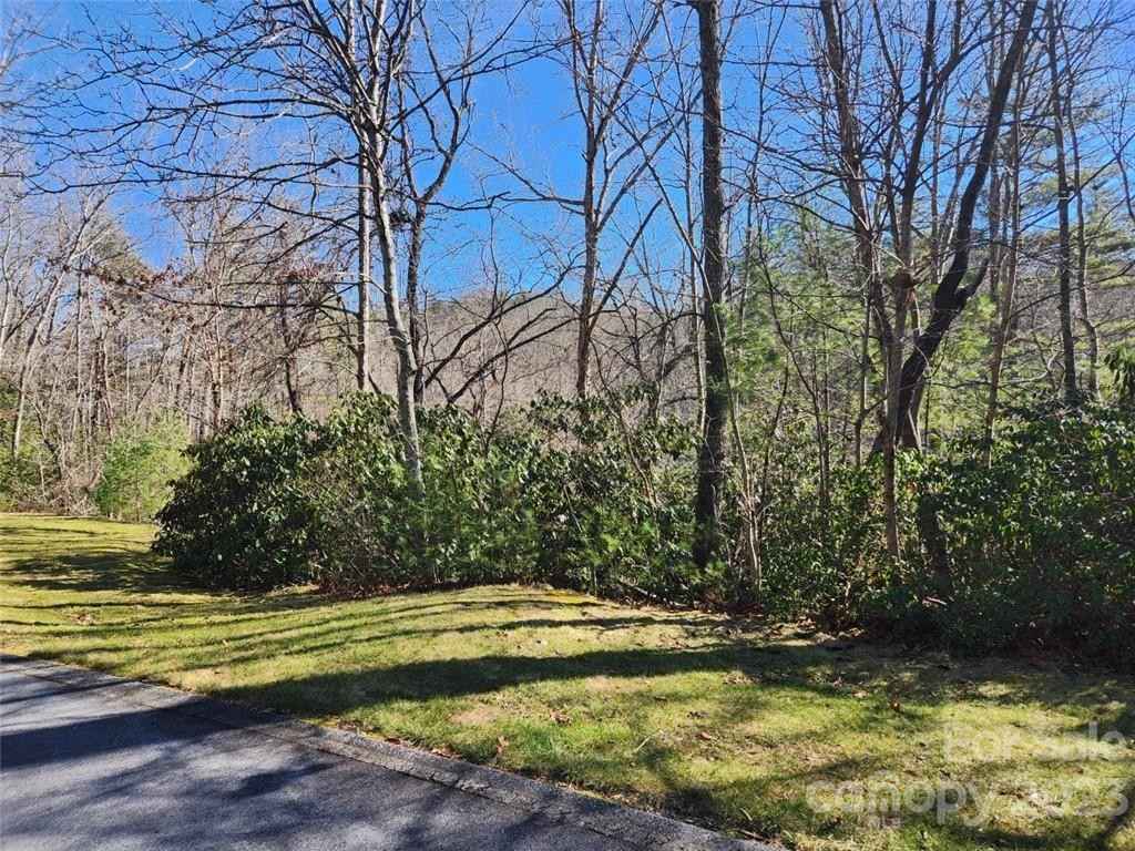00 Blackgum Ct  