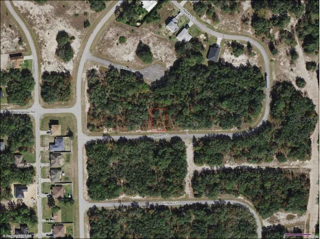 442 Naples Ct  