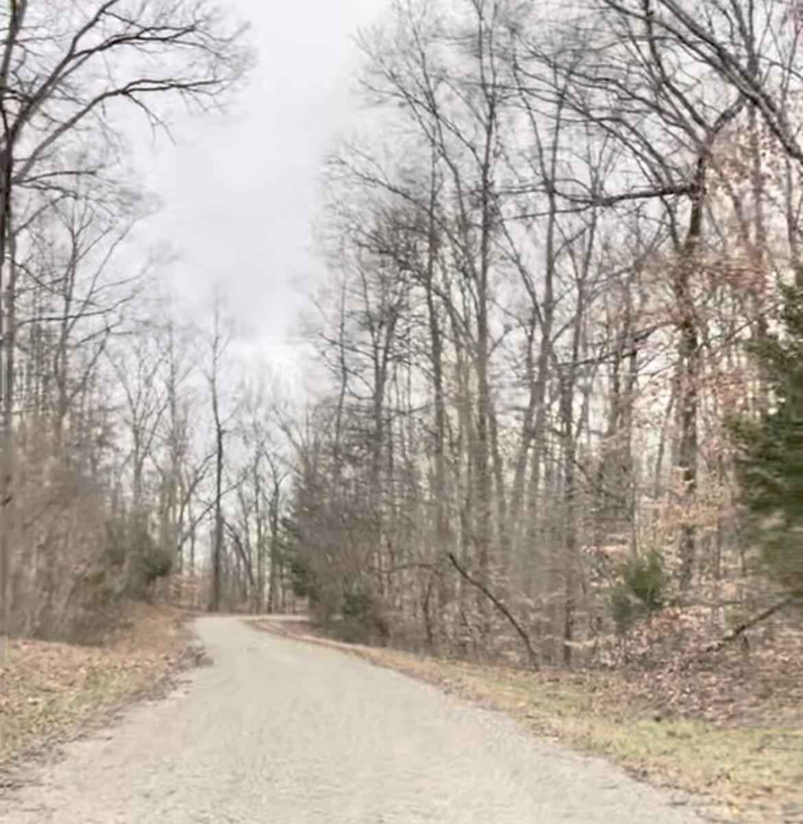Lot 88 Alexandra DR  