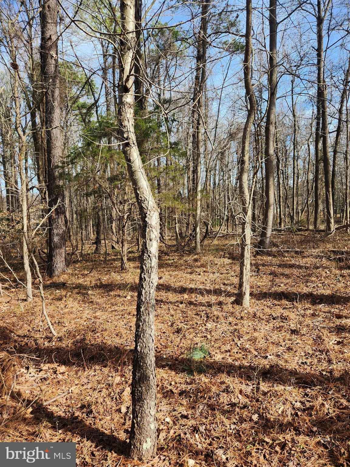 Lot 69 PLANTATION  