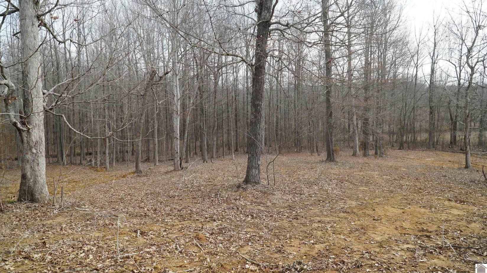 000 Fern Creek Ln - Lot 8  