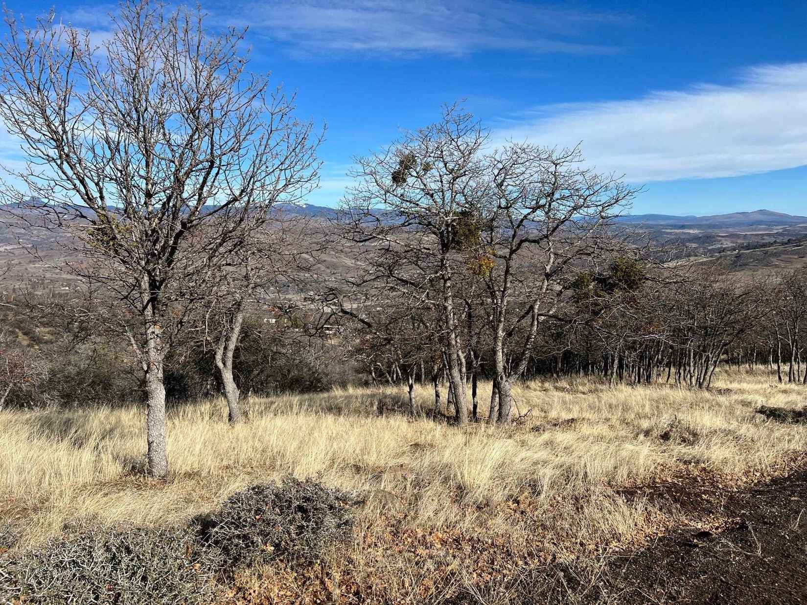 Lot 574 Owens Way  