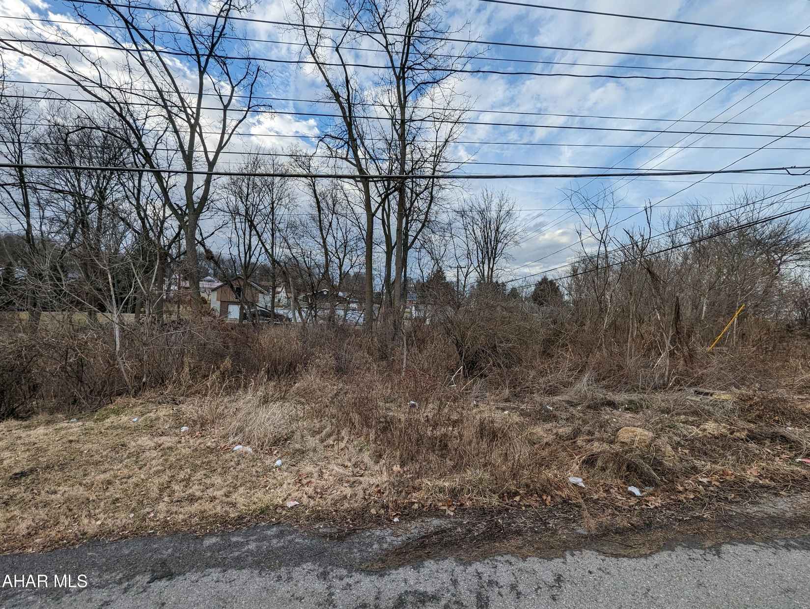 100 Caroline Ave Ave  