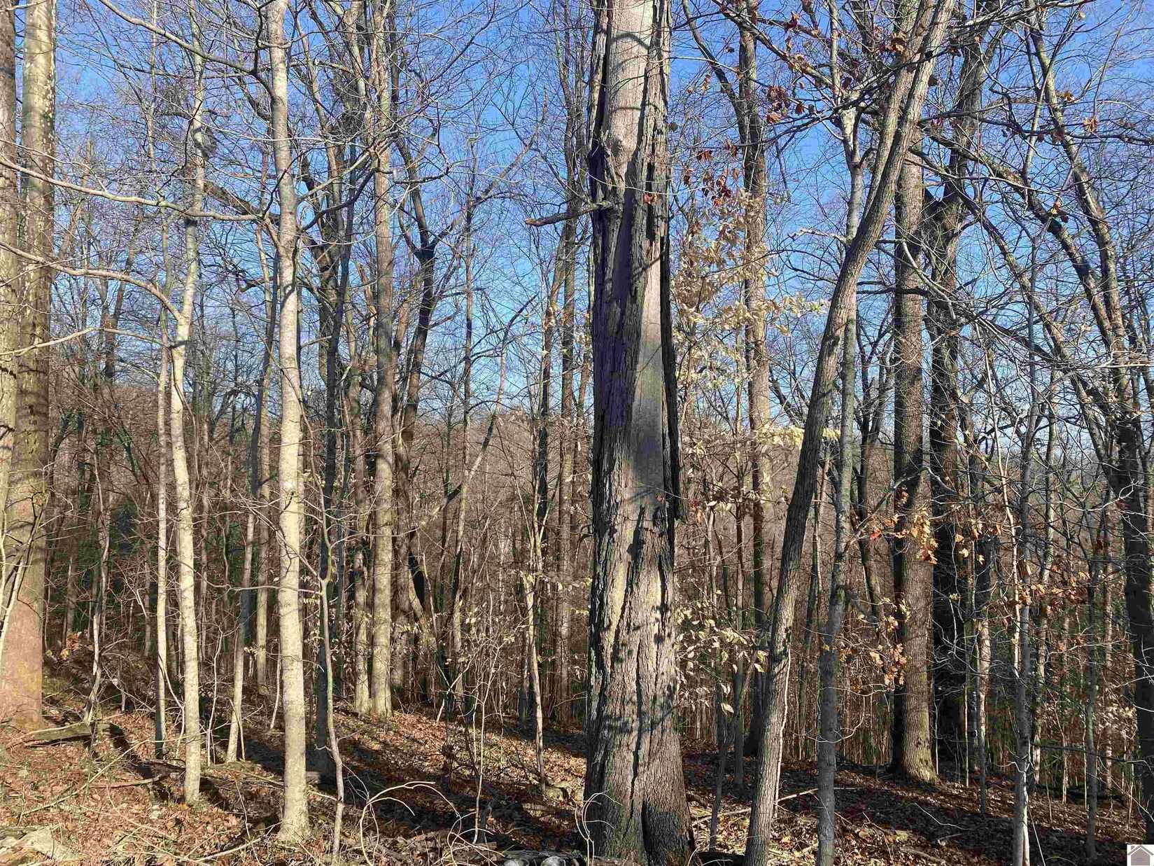 Lot 7 Woodland Hls  