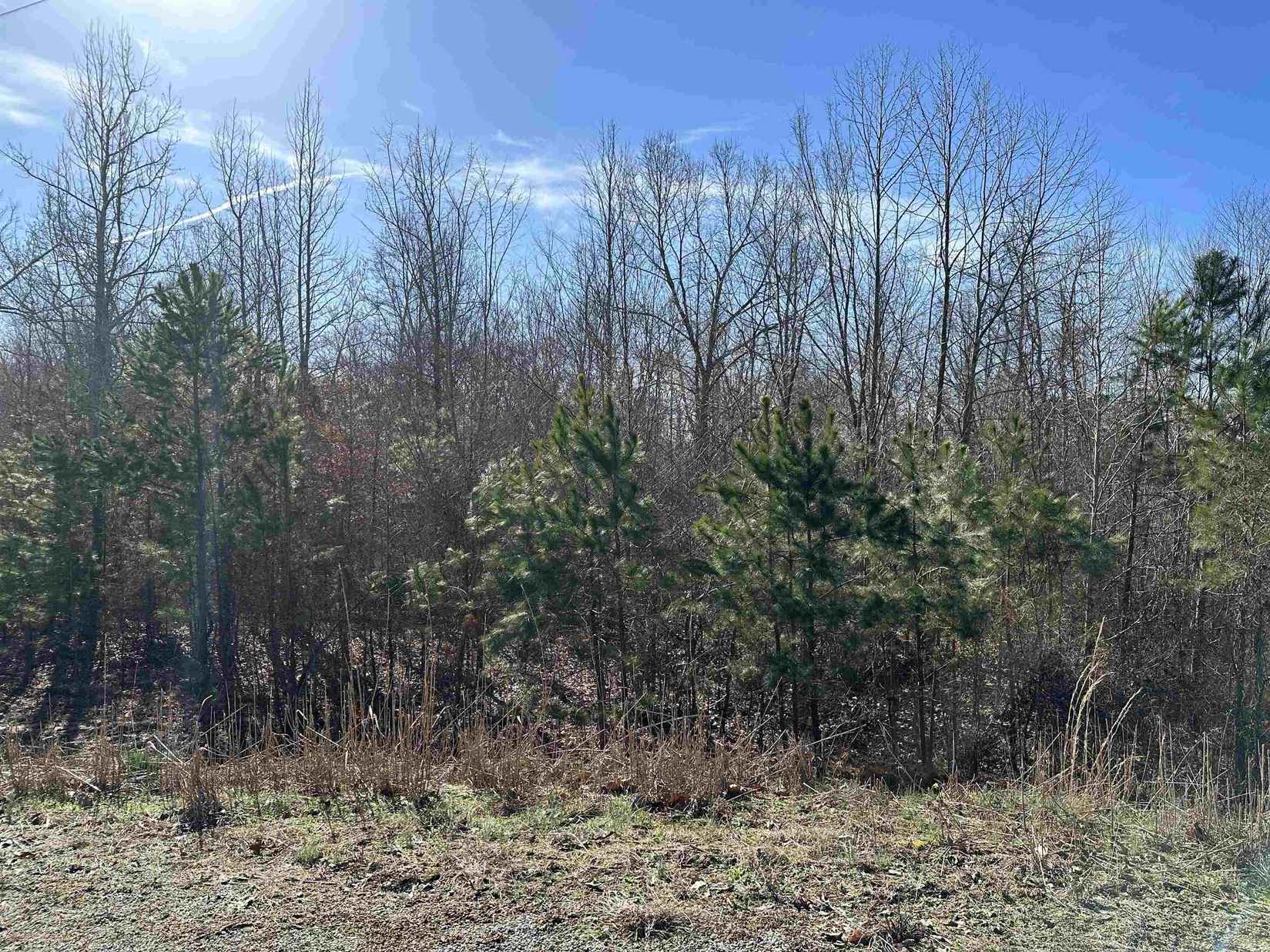 Chisum Ln Lot 19  