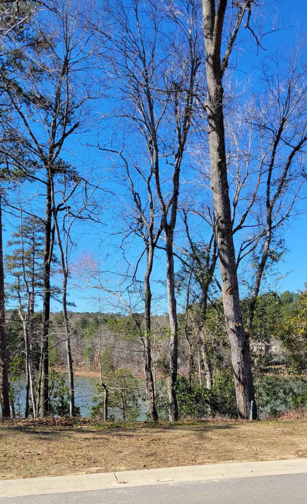 Lot 2 River Birch Dr  