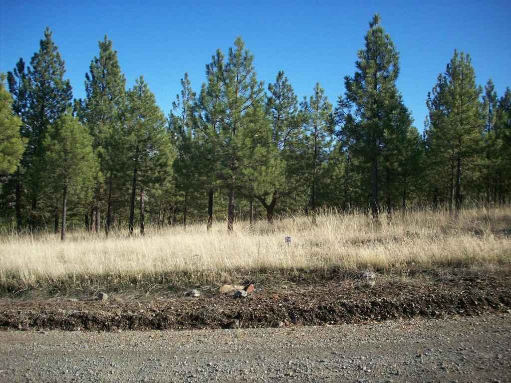 Lot 24 Leiber Ln  