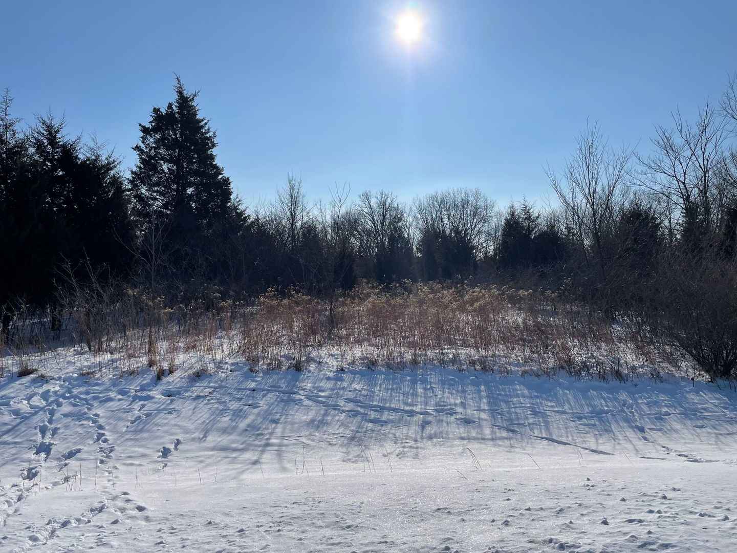 2842 Whispering Hls Dr  