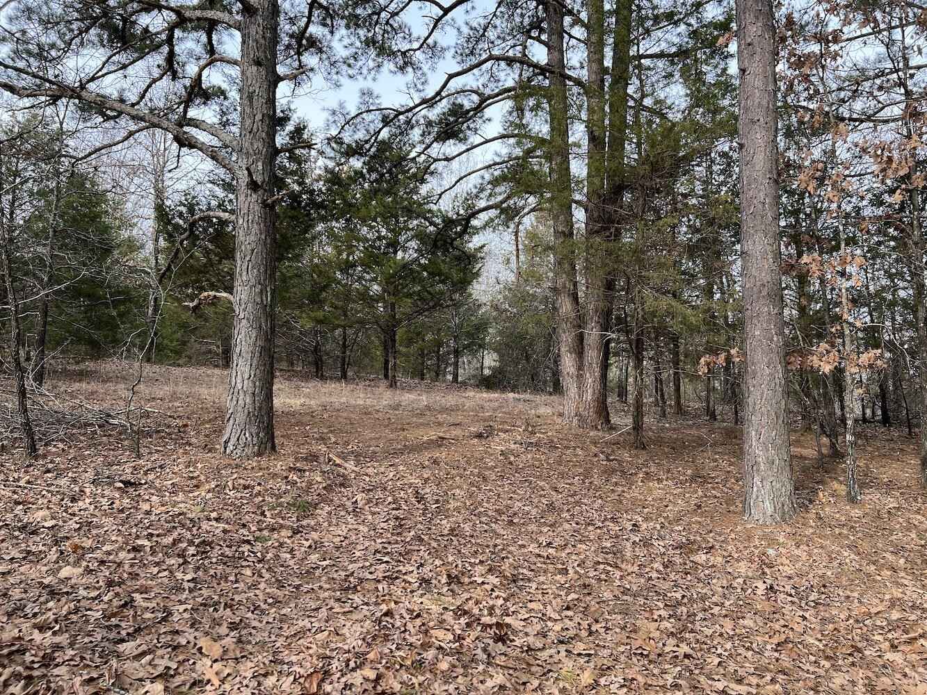 000 N Camp Crk Rd  