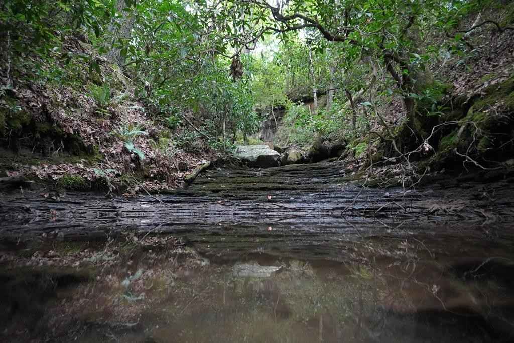 Lot 80 Long Br Rd  