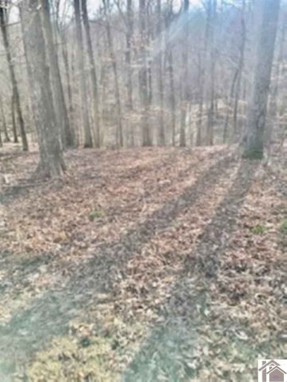 Lot 42 43 Lisanby Rd  
