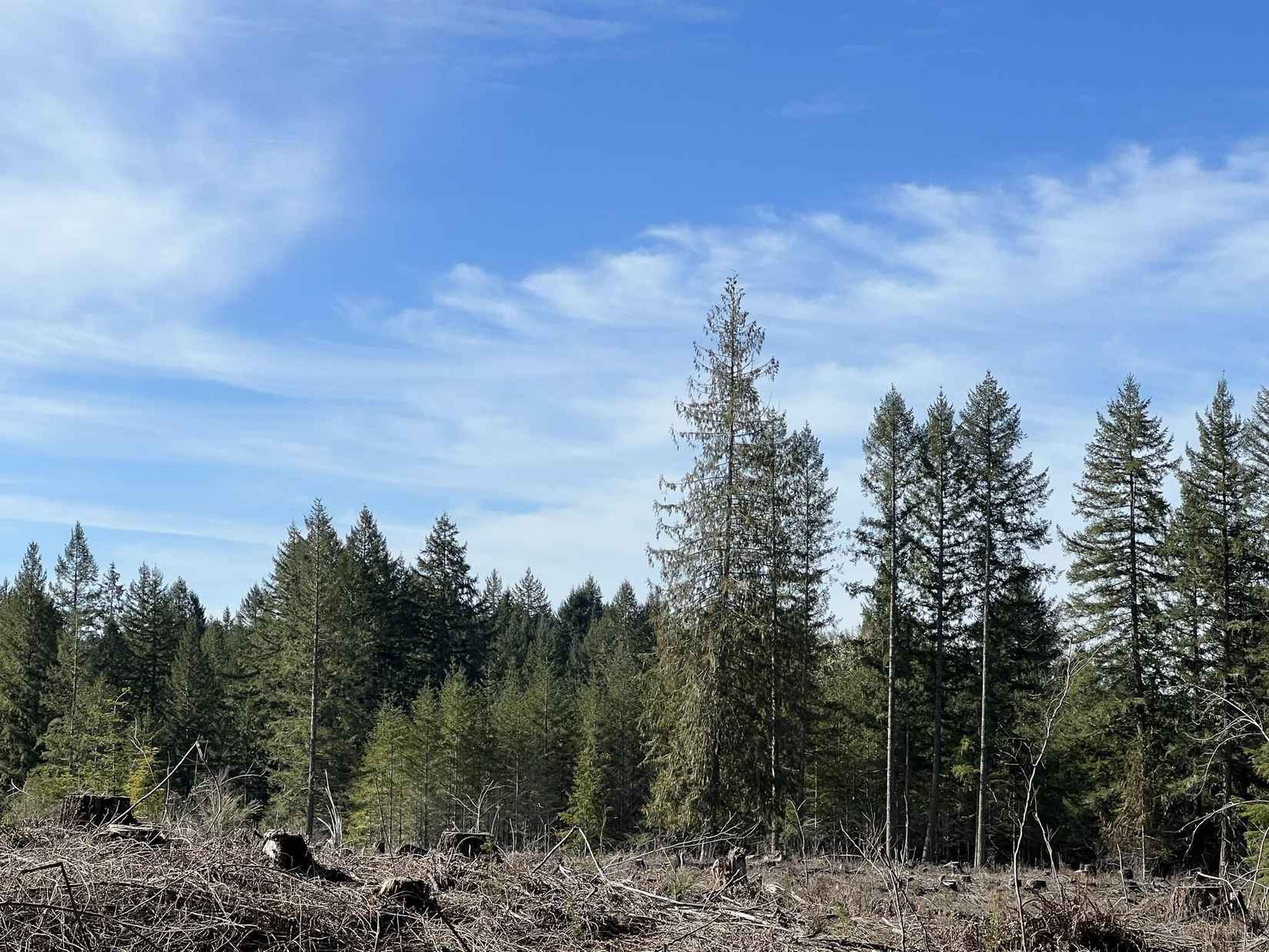 Mcqueen (Lot Unit 108) Dr  